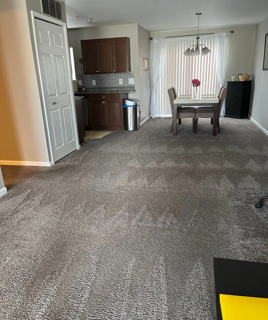 Carpet vacuumed in clean lines through an open living area